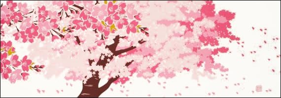 Somenoanobo Tenugui "Spilled Cherry Blossoms" 100% Cotton Tokioka, Made in Japan, 13.8 x 39.4 inches (35 x 100 cm) : Home & Kitchen