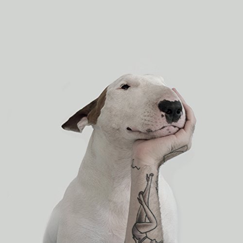 Um Cão Chamado Jimmy