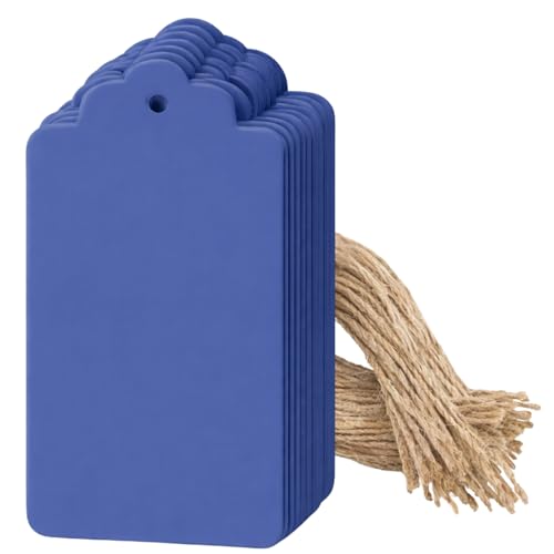 Image of CVANU 300pcs Premium Color Tag Blank Hanging with Pre-Punched Hole Tags for DIY Crafts, Gift Wrapping, Labelling & Writable Decorative Tags for All Occasions (2.85in X 1.7in) Blue
