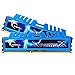 G.SKILL RipjawsX Series (Intel XMP) DDR3 RAM 16GB (2x8GB) 1600MT/s CL9-9-9 1.50V Desktop Computer Memory UDIMM (F3-1600C9D-16GXM)