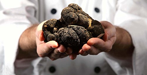 CEMEHA SEEDS - Black Truffle Mushrooms Non GMO for Planting Mycelium Spawn Spores