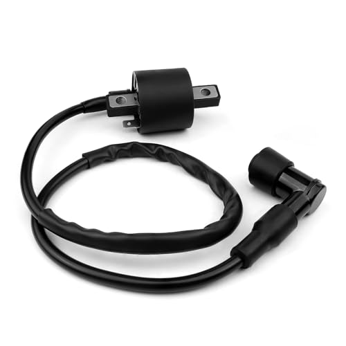 Bobina de ignição caixa CDI vela de ignição para Polaris Xplorer 400 1998-2002 3083923 4020129 30856