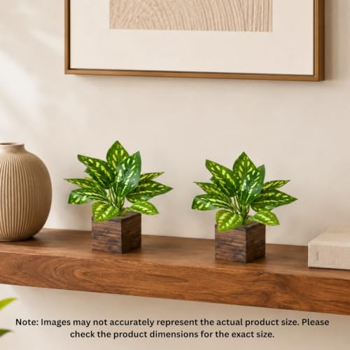 Image of DecoreBugs Artificial Real Touch Flower Plant with Pot (Pack of 2), 16 cm Height, Decorative Faux Floral Plant for Home, Office, Living Room, Bedroom, Table & Shelf Decor