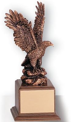 SHOP AWARDS AND GIFTS Bronze Eagle Trophy, Engravable Customizable Personalized Patriotic Award for Employee Recognition, Work, School, Military, 12 Inch