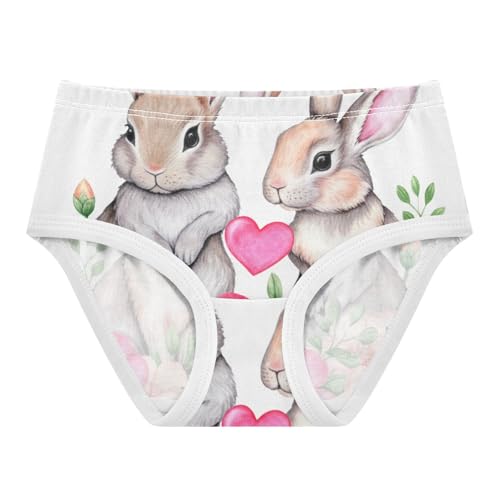 Cotton Toddler Girls Underwear Watercolor Gray Bunnies White Panties Little Girl Funny Briefs Underpants 2t