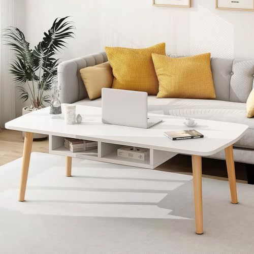 FRSTONE ローテーブル テーブル 一人暮らし 幅100cm 机 低い 収納付き 長方形 コーヒーテーブル デスク センターテーブル コンパクト 木製 シンプル 可愛い おしゃれ インテリア リビング 組立簡単 (収納付き 幅100cm, 【北欧風】ホ