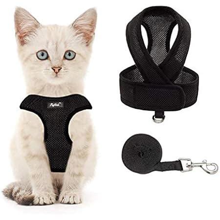 pupteck cat harness