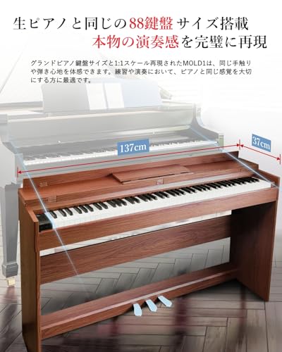 Longeye MOLD1 の商品画像 4