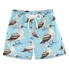 Blue Footed Booby Birds