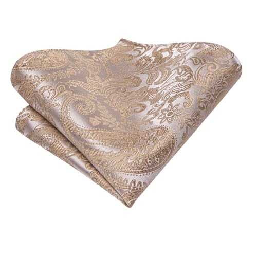 Image of Dubulle Paisley Floral Ascot for Men Self Tie Mens Cravat and Pocket Square Cufflinks Wedding