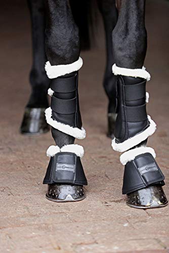 Campanas de protección Pelisa protector de cascos para caballos de hípica 3