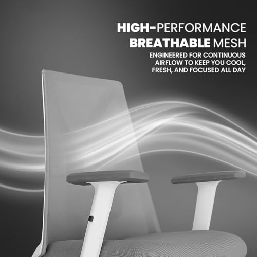 Image of Kepler Brooks Crest Office Chair for Work | 3-Year Warranty | Ergonomic Office Chair, Study Chair for Home, 1D Arms, Adjustable Lumbar, Single Lock Recliner, Heavy Duty Nylon Base (White Grey)