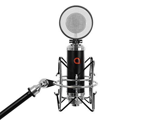 Artesia AMC-20 Studio Large-Diaphragm Condenser Microphone w/Shock Mount + Pop Filter & 8' XLR Cable