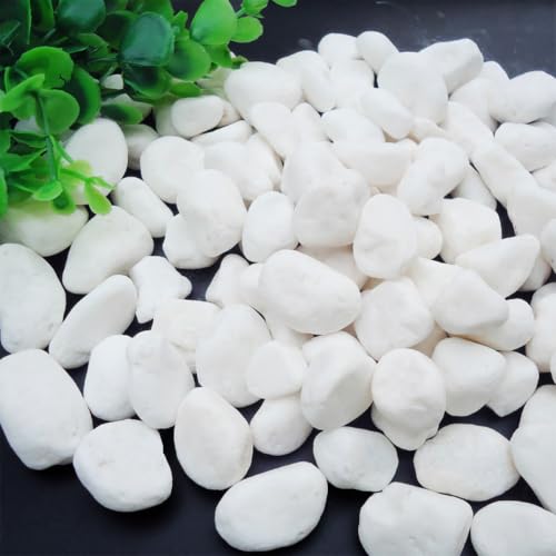 Image of 1 Lb /460g White Stones Decorative Pebble Rock Sand for Aquarium /Fish Turtle Tank /Vase Filler /Succulent Plants Decoration (Fill 1 Cup)