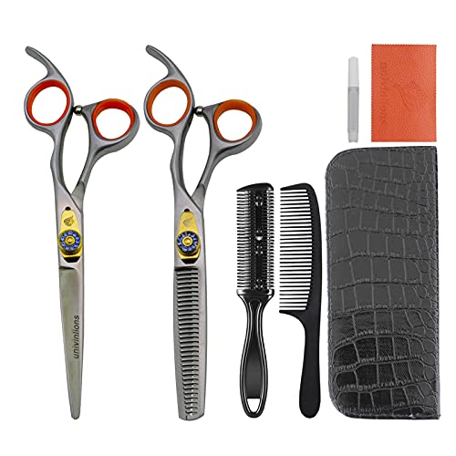 Ciseaux de coiffure 6 pouces et kit de coupe pour salon