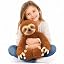 Brown Sloth