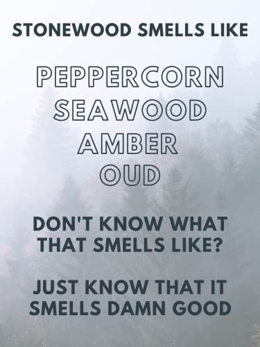 Thom Travel Size Cologne For Men - Natural Ingredients Solid Cologne Men - Smell Fresh Everywhere You Go - Alcohol Free Solid Perfume - Easy Application Mens Cologne (Stonewood) #TOP2