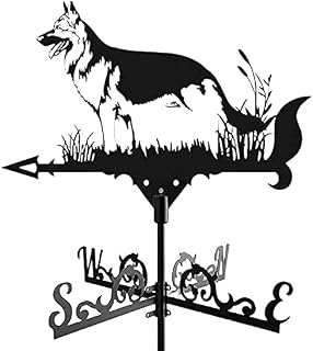 Veletas de Viento para Tejado Vaina De Tiempo con Montaje En La Azotea Estilo Arquitectónico Steel Barco Plane Patrón De Animal WeatherVane Al Aire Libre For La Dirección (Color : 5)