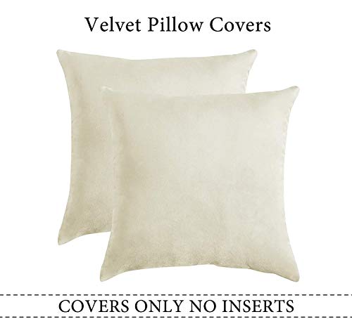 Image of Modern Homes (Pack of 2) Velvet Cushion Covers Plain Sofa Cushion Covers Pillow Covers for Living Room and Bedroom (16x16 inches, Cream)