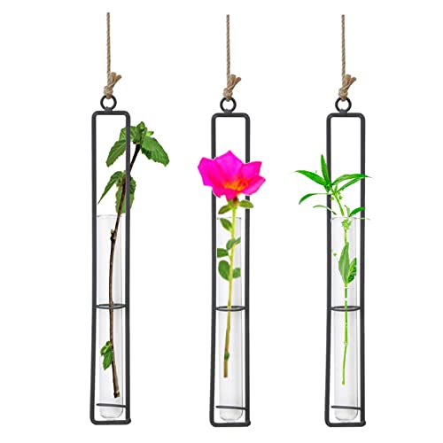 Vastsea 3 Piezas Florero Plantas Colgantes, Soporte de Planta de Aire de Metal Colgante, Decorativo Hierro Forjado, con Cuerda de Yute, Aplicar para Plantas Hidropónico(27,2 x 4cm)
