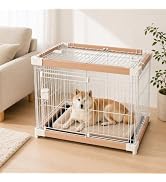 Amazon | N&S ペットキャリー XLサイズ 大型犬 中型犬 猫 IATA対応