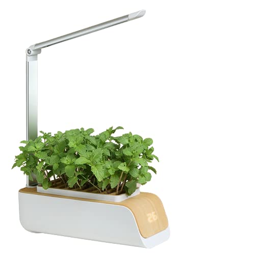 Lampe LED de croissance pour herbes aromatiques et pot intelligent réglable