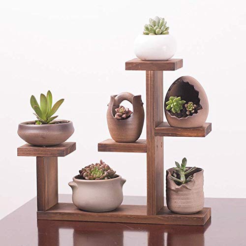 Étagère de rangement en bois pour plantes, 3 niveaux pour pot de fleurs de bureau, organiseur de fleurs multifonction
