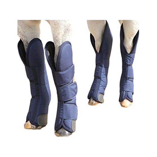 Can you take ski boots as hand luggage tui Pro Choice Shipping Boots