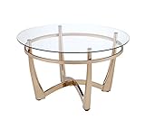 ACME Furniture 81610 Orlando II Coffee Table, Champagne/Clear Glass
