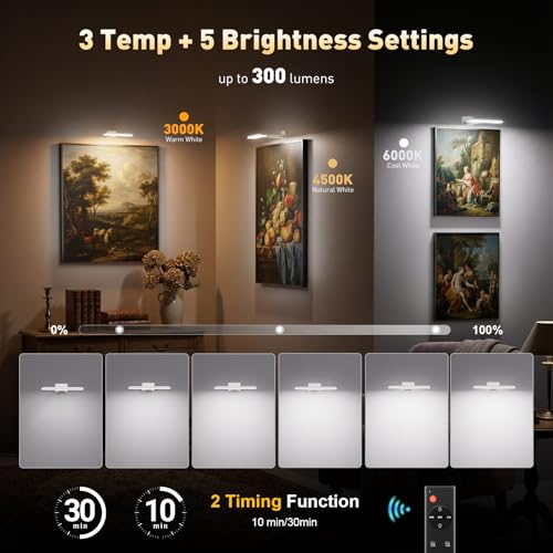 Image of NARUNDREN Rechargeable Picture Lights for Wall with Remote-2PC(White) | Battery Operated, 300LM LED, 3 Color Temperatures, Timer, Poster & Picture Lighting, Dartboard, No-Drill Installation