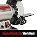 BUCKTOOL 8 inch Dual Speed Bench Grinder & Buffer, Professional Low High Speed Bench Grinder Buffer with Cast Iron Base TDS-200DS