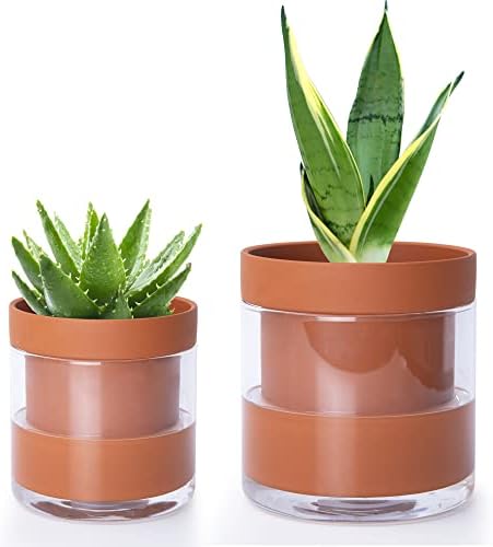 Phoenix Vine 4 Inch 6 Inch Self Watering Planter Pots, Terracotta Clay Pots with Glass Reservoir for Indoor Plants, Herbs, Flowers, 52-A-G