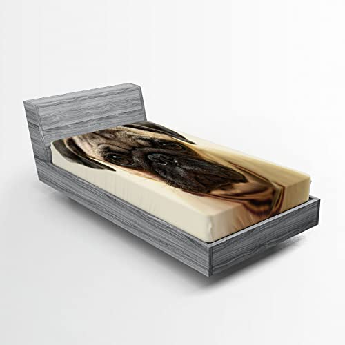 Ambesonne Pug 2 Pack Fitted Sheet, Pure Bred Dog Photograph, Bed Cover All-Round Elastic Deep Pockets 2 Pieces, Package Contains 2 Twin Size Fitted Sheets, Brown Black