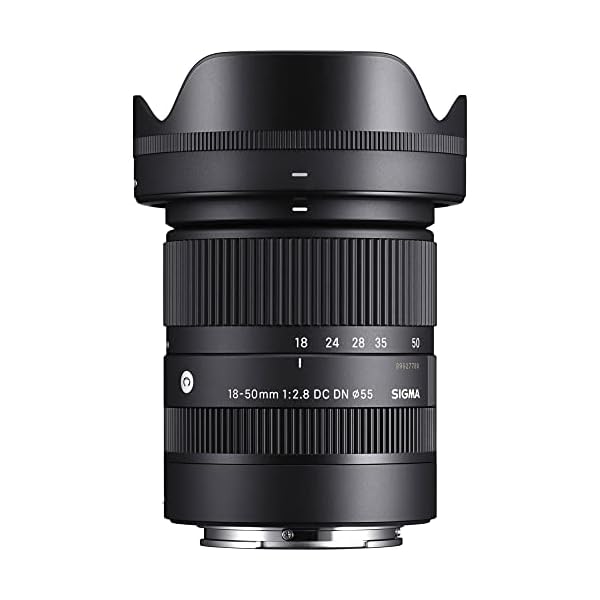18-50mm F2.8 DC DN Contemporary for Sony E Black