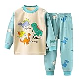 [BINBINNIAO] 子供服 男の子 女の子 パーカー＋ズボン Tシャツ スウェット 赤ちゃん服 恐竜柄 着ぐるみ フード付き 上着＋パンツ2点セット かっこいい ベビー服 ロンパース カバーオール ファッション 秋冬 長袖 ベビー服 通園 人気