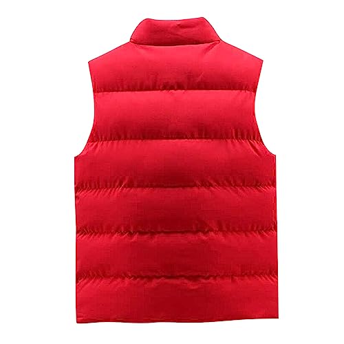 PanLidapan Men Gilet Outerwear Vests Casual Winter Sleeveless Zipper Warm Jacket Coat High Collar Puffer Vests with Pockets - Image 3