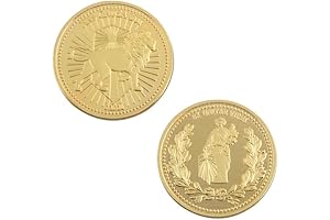 Big Size John Wick Gold Continental Coin