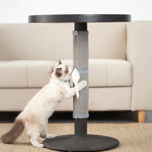 Vilemenya NbƊLbg^[yA}bg L ܌ h~V[g یV[g VRTCU L LEH (O[, 25*63p)