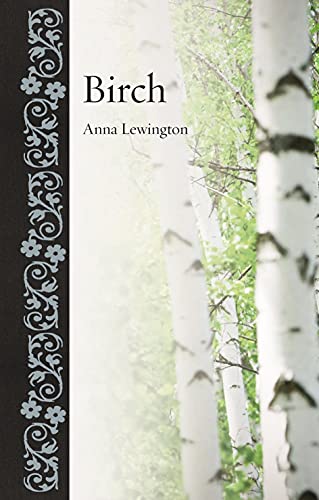 Birch (Botanical) view 2