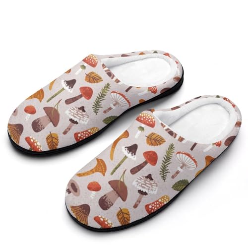 [ZKCASA] Xbp ̂ LmR  [V[Y   qp h  g 􂦂 ~ jp I[V[Yp 13-14i46-47j