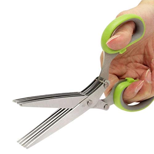 Creatif Ventures 5 Blade Vegetable Stainless Steel Herbs Scissor