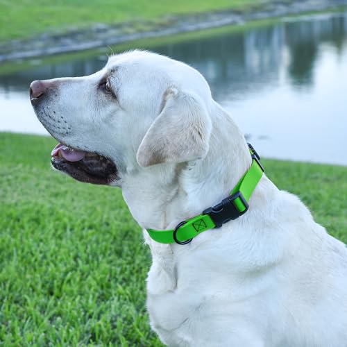 Image of Dogline Biothane Waterproof Dog Collar with Quick Release Buckle Strong Coated Nylon Webbing with Odor- Proof for Easy Care Easy to Clean Fits Small Medium Large Dogs, Lime Green 5 /8 inch W 9-14 inch L