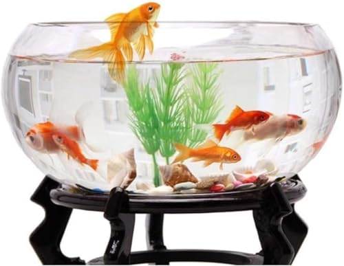 Girlmarry~`KXe[uك{EϗtAe CeAeACeKXԕr (25cm)