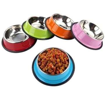 Comedouro Bebedouro Tigela Inox 250ml Cachorro Cães Gato COELHO Pet Cor Prateado POTE RAÇÃO ÁGUA COMIDA VASILHA COM BORRACHA ANTIDERRAPANTE NÃO ENFERRUJA 18/13 CM (VERDE)