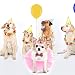 Zhenp Hochzeitskleid für Hunde – 3-teiliges Tutu-Rock, Geburtstagsanzug, Welpenhochzeitskostüm, verstellbar, mit Bandana, Krone, Rock und Kragen