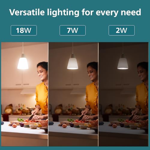 Image of Philips 18W Dimmable LED Bulb | Cool White 6500K | B22 Base | Adjustable Brightness LED Light | Energy Efficient & Versatile Lighting | Pack of 1