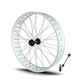 Características de los neumáticos anchos delanteros y traseros: Llanta de aluminio de 100 mm de ancho, 36 orificios, diámetro estándar de 44 mm para montaje de freno de disco de 6 tornillos. Montaje rápido: piñón delantero de 135 mm, piñón trasero de 190 mm.