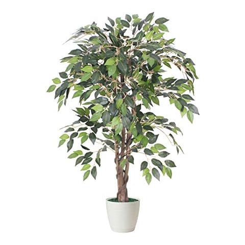 Tradala 3’ Lush Artificial Tree in White Pot - Ficus 90cm / 3ft Tall with Real Wood Trunk - For Home Living Room Indoors Cover