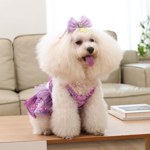 Image of CuteBone One Piece Dog Bikini Swimsuit Dress - Puppy Bathing Suit Costume for Small Dogs - Comfortable & Stylish Pet Clothes for Summer Pool, Beach & Play LTDB07XXS