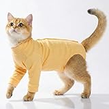 Cat Recovery Suit, Kitten Onesie After Spay, Small Cat Onesie for Cats After Surgery Female Male, Kitten Recovery Suit Abdominal Wound, Collar Alternative Cat Surgical Body Suit for Kittens(Orange, S)